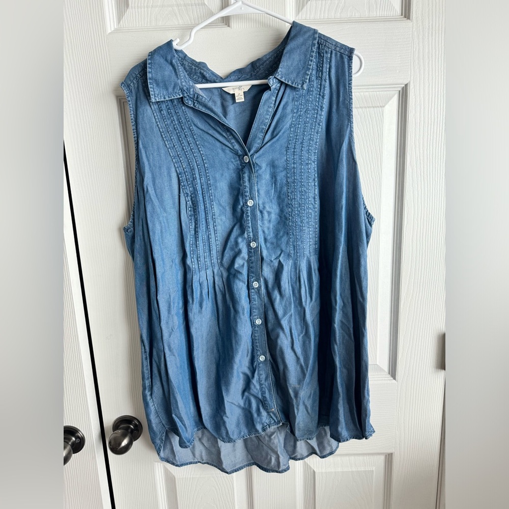 Terra & Sky Blue Button Down Sleeveless Shirt